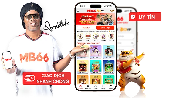 Giấy phép hoạt động và bảo mật của Bong Dalu