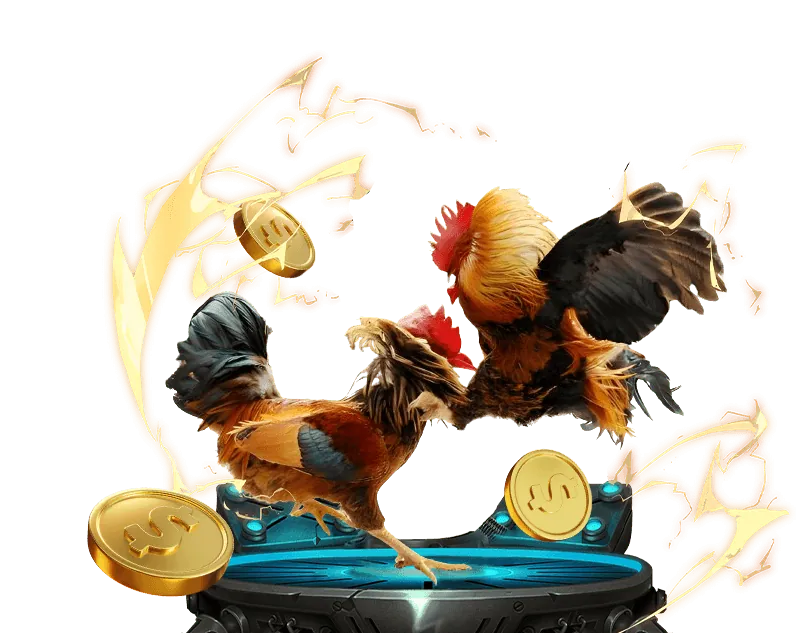 Cá cược thể thao tf88